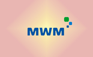 ✓ MWM  9.226.1.630.005.5 Суппорт крепления генератора 